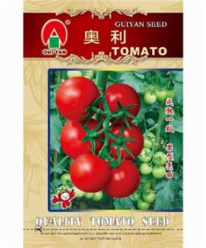 奥利 -番茄种子