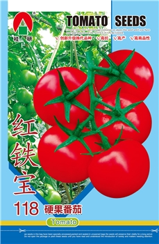 红铁宝118硬果番茄