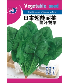 日本超能耐抽圆叶菠菜
