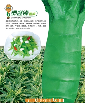 绿盛锋香笋 -5g*3袋