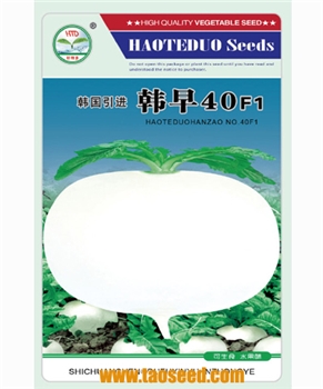 【富新源】韩早40——白萝卜种子