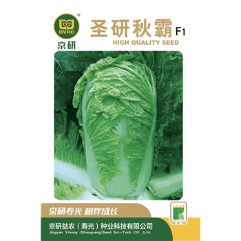 圣研秋霸