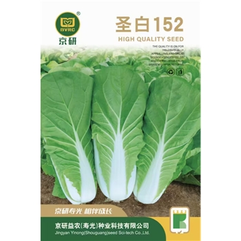 圣白152