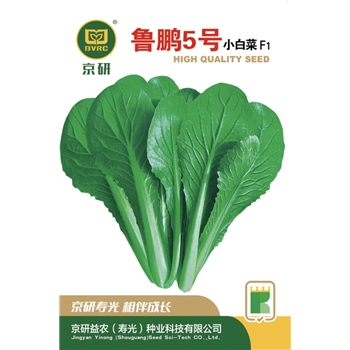 鲁鹏5号