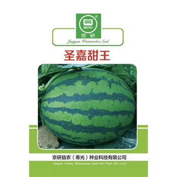 圣嘉甜王
