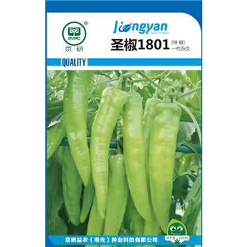 圣椒1801