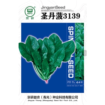 圣丹菠3139 