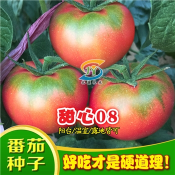 甜心08，草莓番茄种子