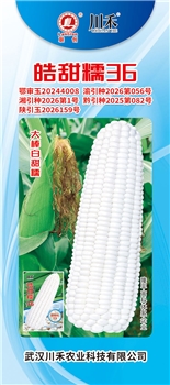 皓甜糯36