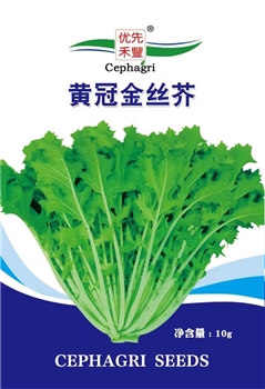 黄冠金丝芥