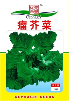 瘤芥菜