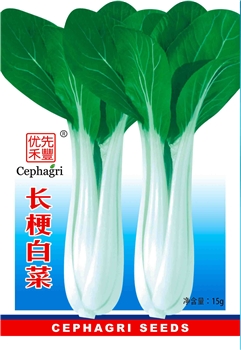 长梗白菜