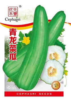 青龙菜瓜