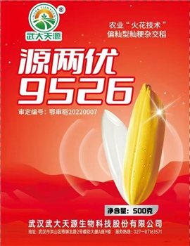源两优9526