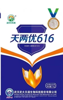 天两优616
