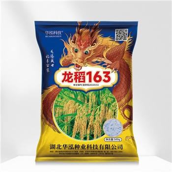 龙稻163